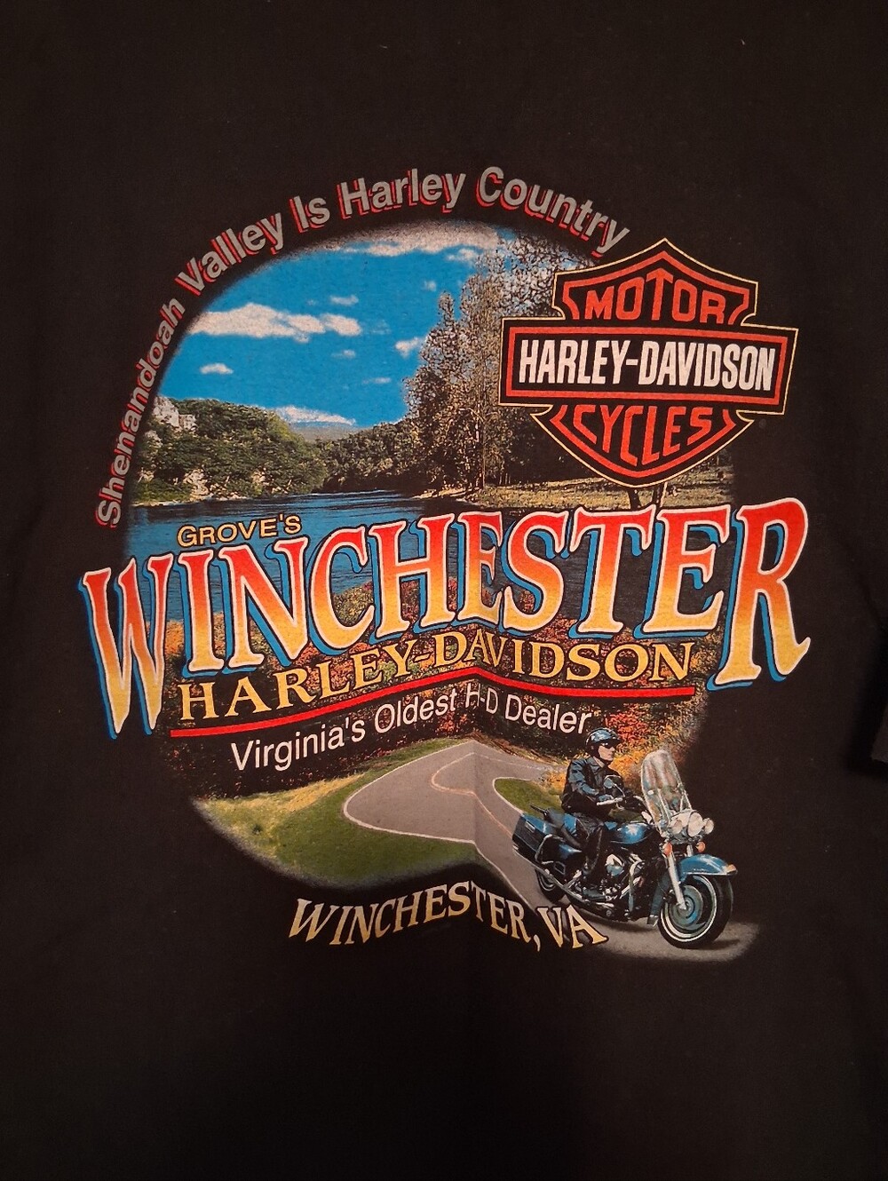 Vintage harley Davidson shirt
